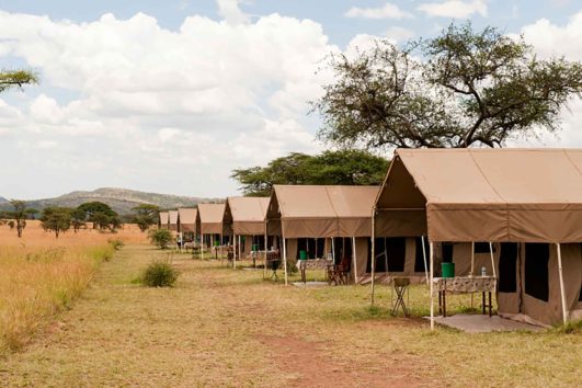 Serengeti-Kati-Kati-Tented-Camp-531x354