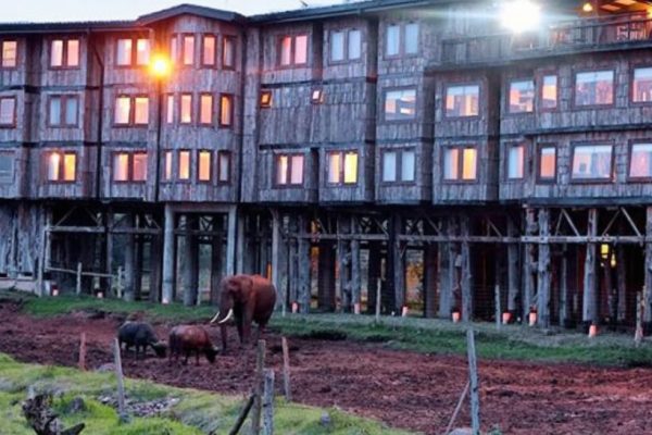 The-Reopening-of-Iconic-Treetops-Hotel-Aberdares-2-819x1024