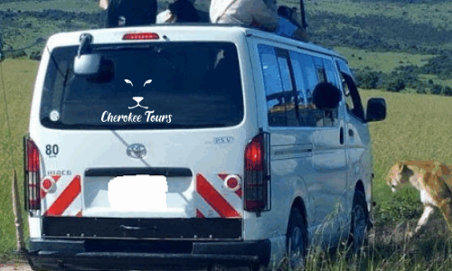 Untitled-design-8-500x400