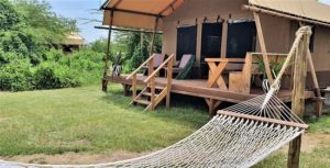 lake-manyara-tented-camp-300x153