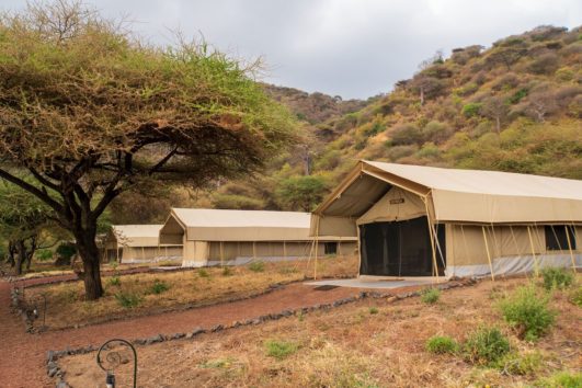 lake-manyara-tortilis-531x354
