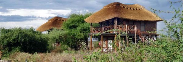 manyara-wildlife-camp-600x205