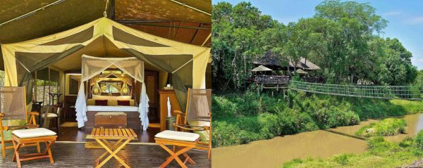 mara-intrepids-camp-1-600x239