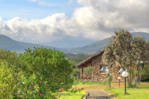 naivasha-kongoni-lodge-1-768x512