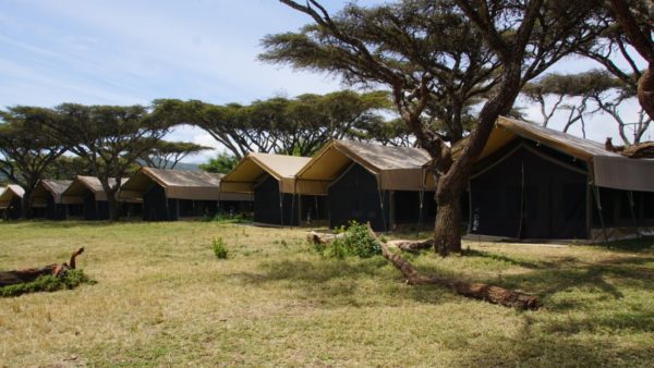 ngorongoro-kuhama-camp-1-600x338