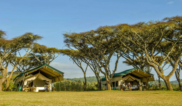 ngorongoro-wild-camp-1-600x352